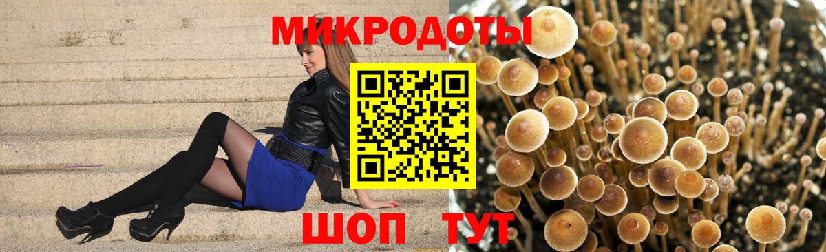 Галлюциногенные грибы прущие грибы Урус-Мартан
