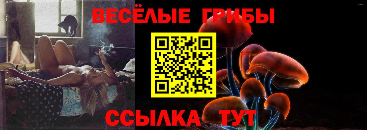 Галлюциногенные грибы Psilocybe  Галлюциногенные грибы ЛСД  Урус-Мартан  Вход с VPN 